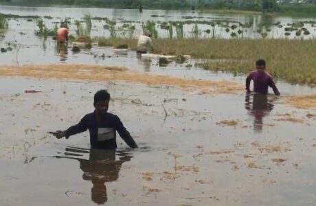 Screenshot 2022-05-24 133349