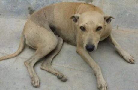 Screenshot 2022-10-18 103053